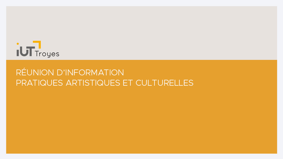 Réunion d'information : activité artistique et culturelle